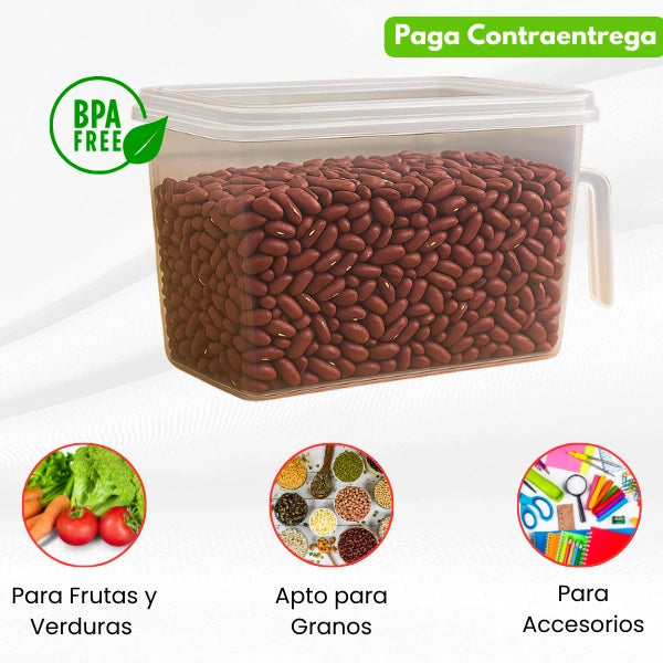 ClearBox® Organizador Transparente con Tapa y Manija OFERTA